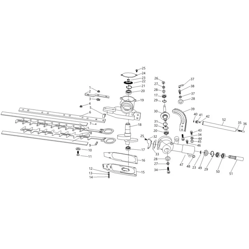 newgardenstore-13733320