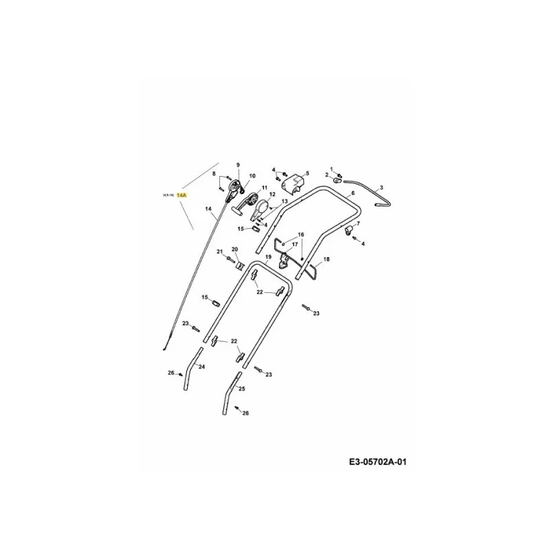 newgardenstore-22800808