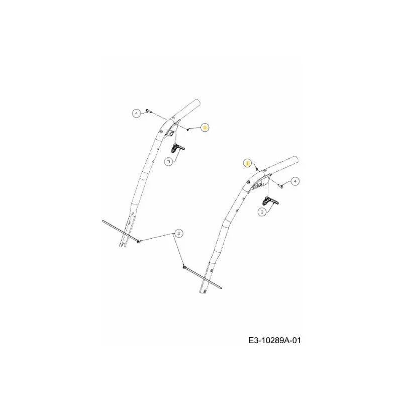 newgardenstore-22802765