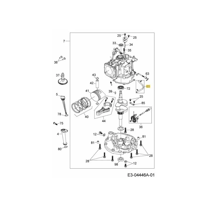 newgardenstore-22808672