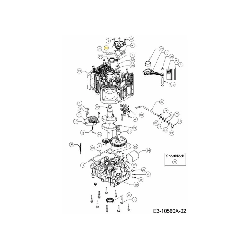 newgardenstore-22810258