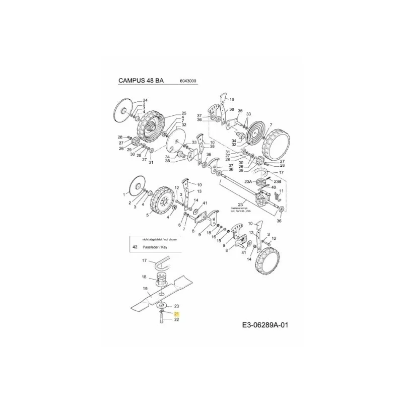 newgardenstore-22816163
