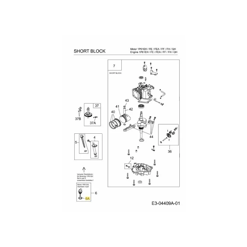newgardenstore-22824264
