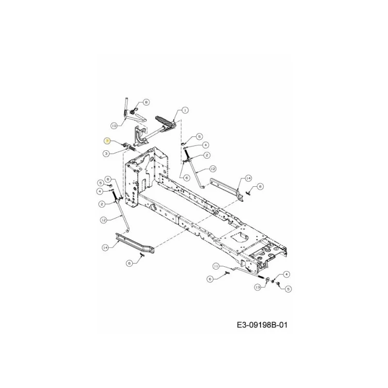 newgardenstore-22824620