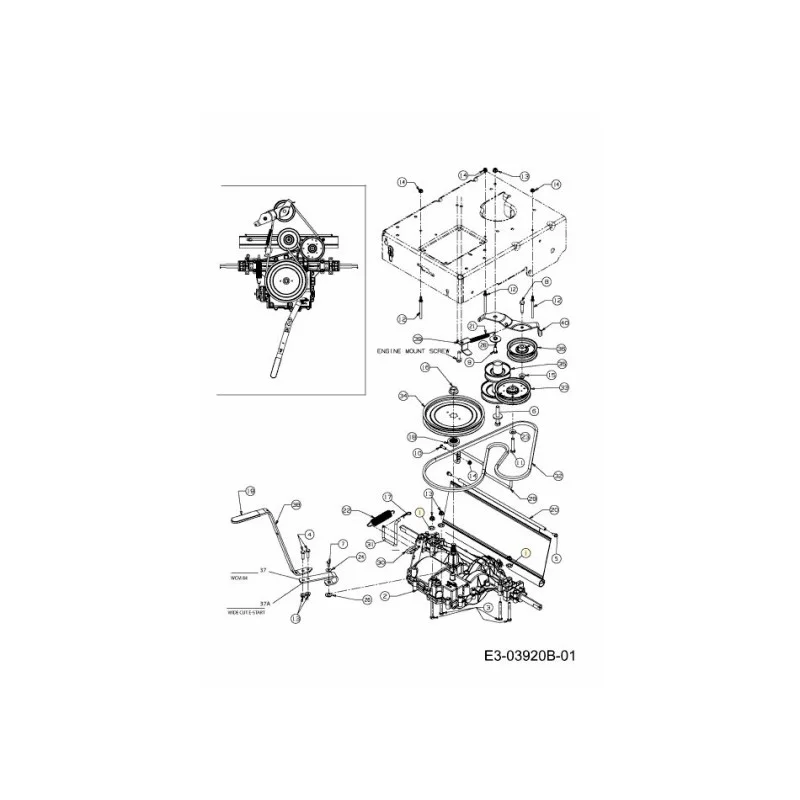 newgardenstore-22825544