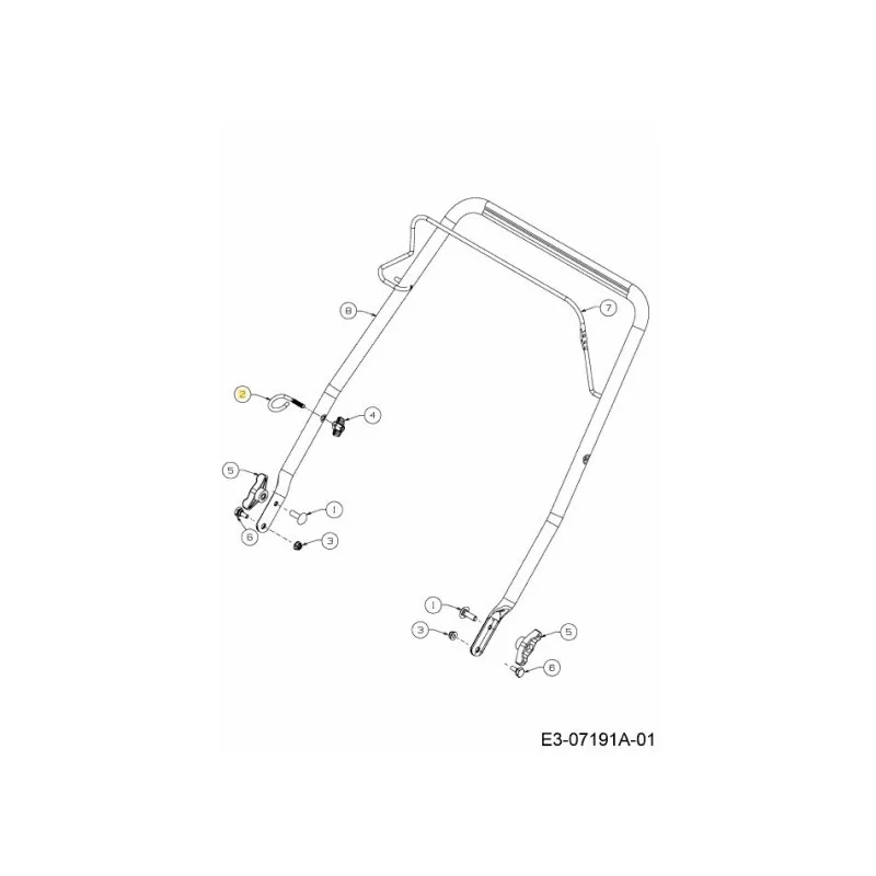 newgardenstore-22825905
