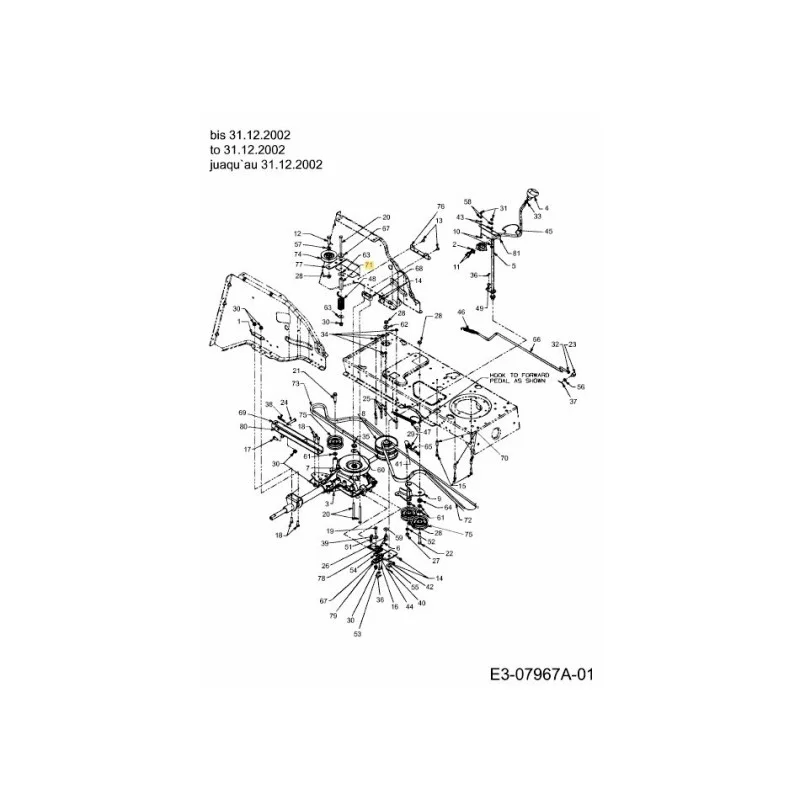 newgardenstore-22829400