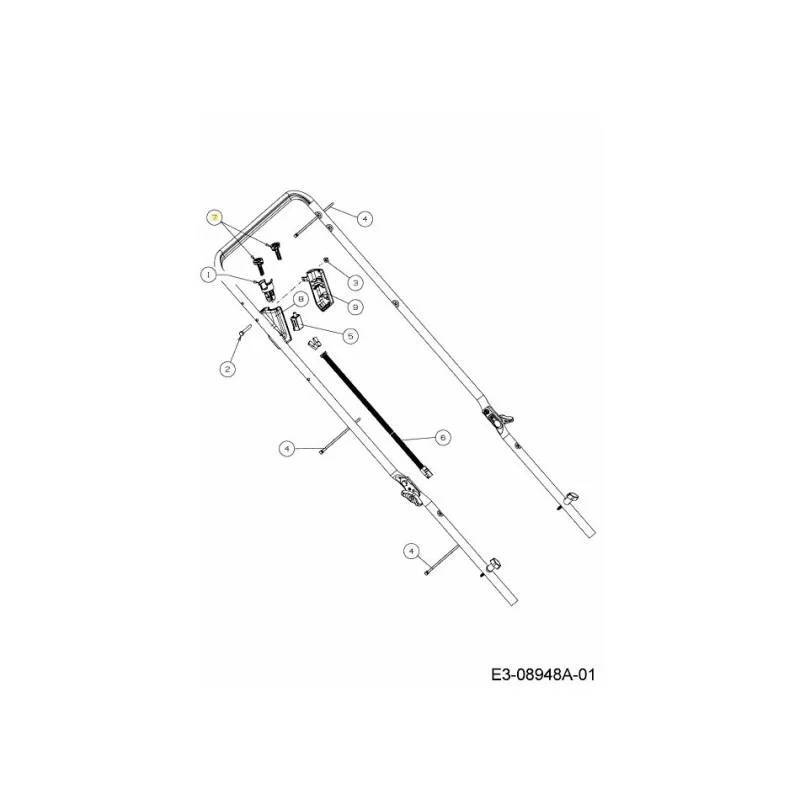 newgardenstore-22846786