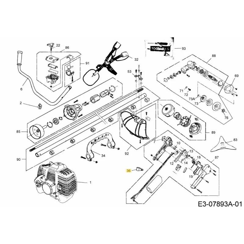 newgardenstore-22846863