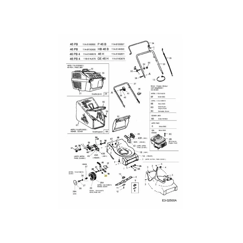 newgardenstore-22849995