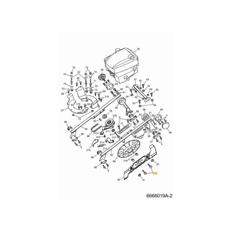 newgardenstore-22858535