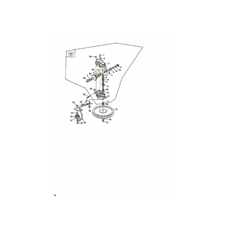 newgardenstore-22877326