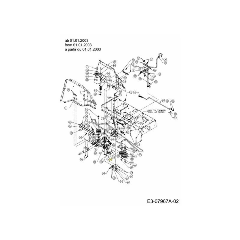 newgardenstore-22880531