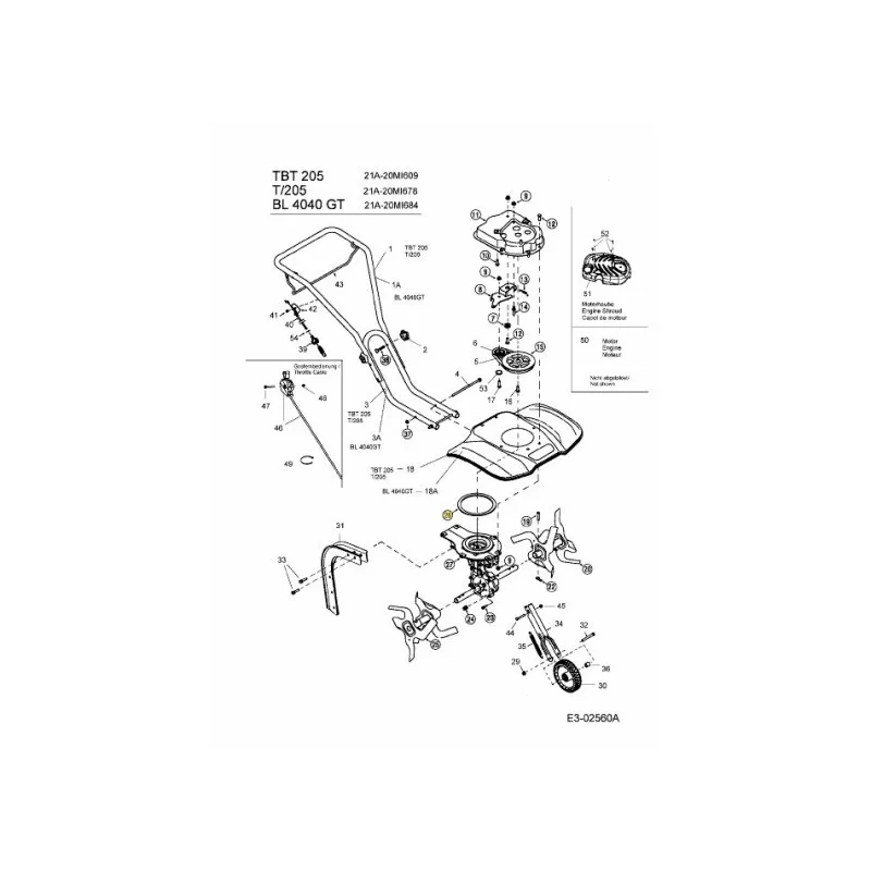 newgardenstore-22886608