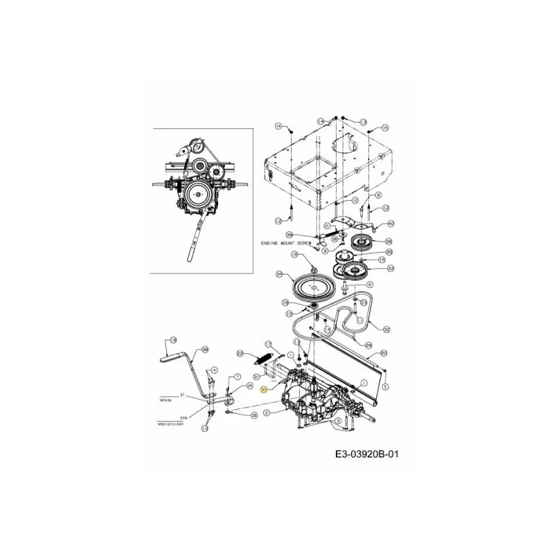 newgardenstore-22906970