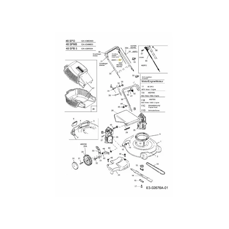 newgardenstore-22917572