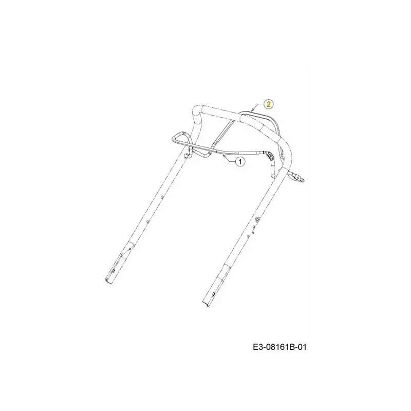 newgardenstore-22919973