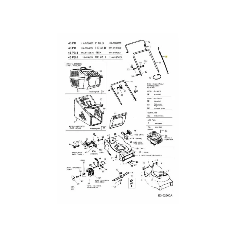 newgardenstore-22921003