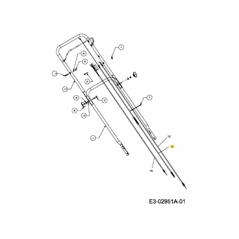 newgardenstore-22922171