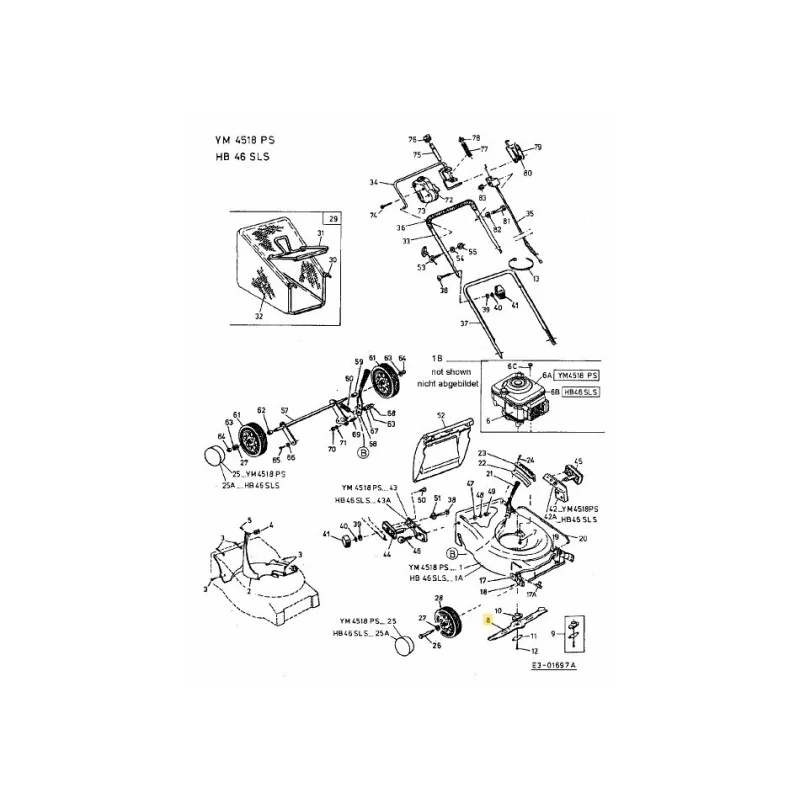 newgardenstore-22925732