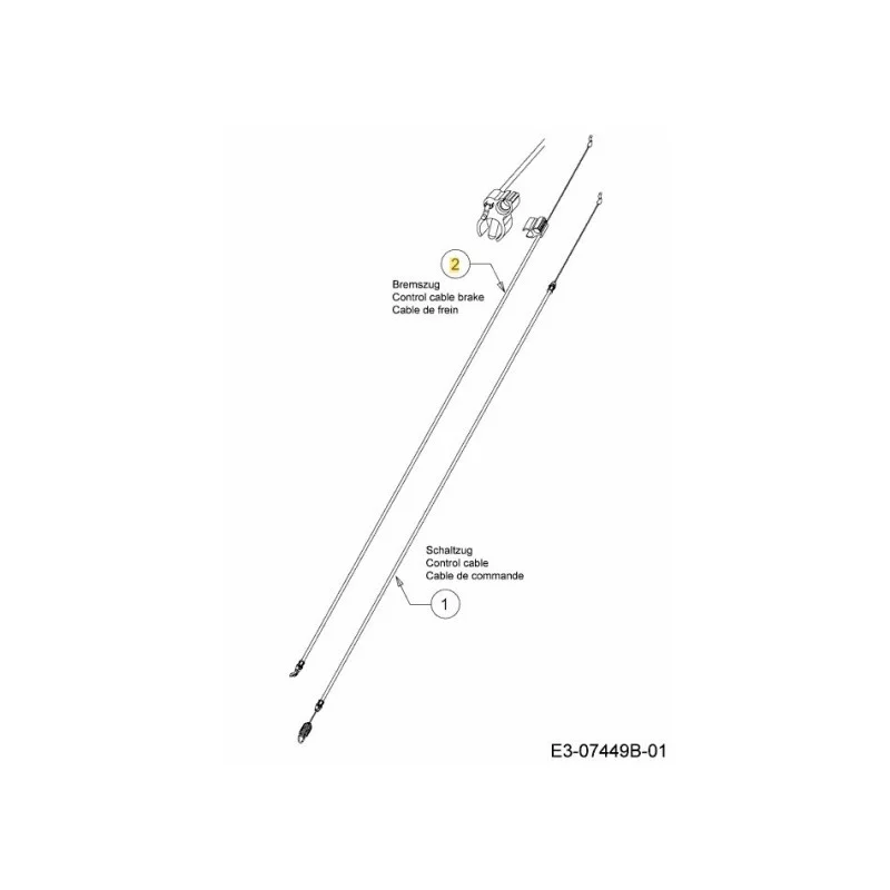 newgardenstore-22928418