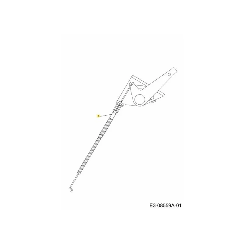 newgardenstore-22934091