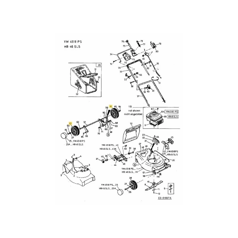 newgardenstore-22938397