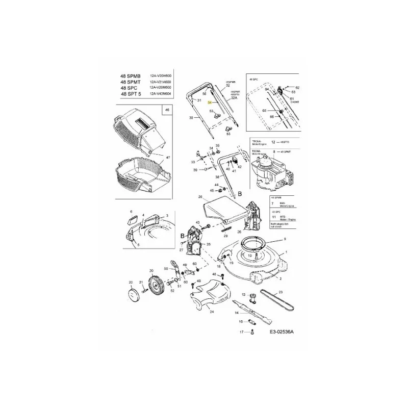 newgardenstore-22939851