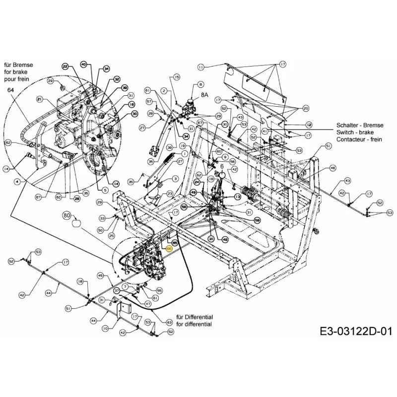newgardenstore-22950757