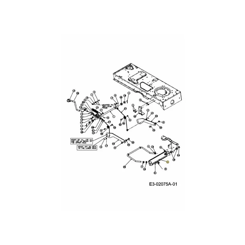 newgardenstore-22952413