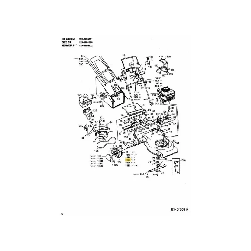 newgardenstore-22953751