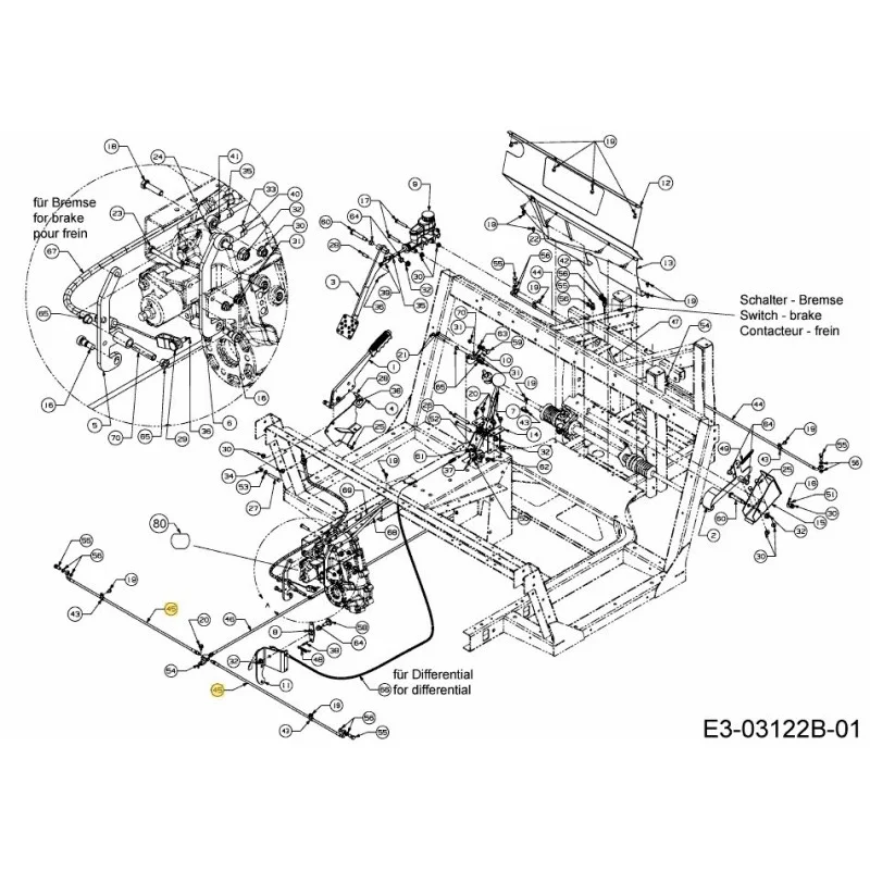 newgardenstore-22958434
