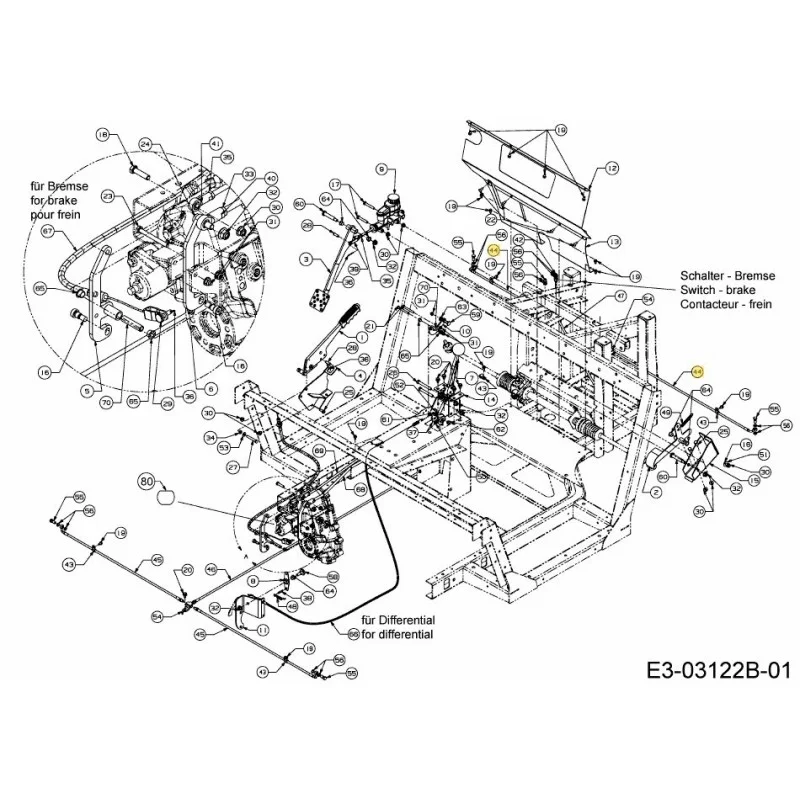 newgardenstore-22965459