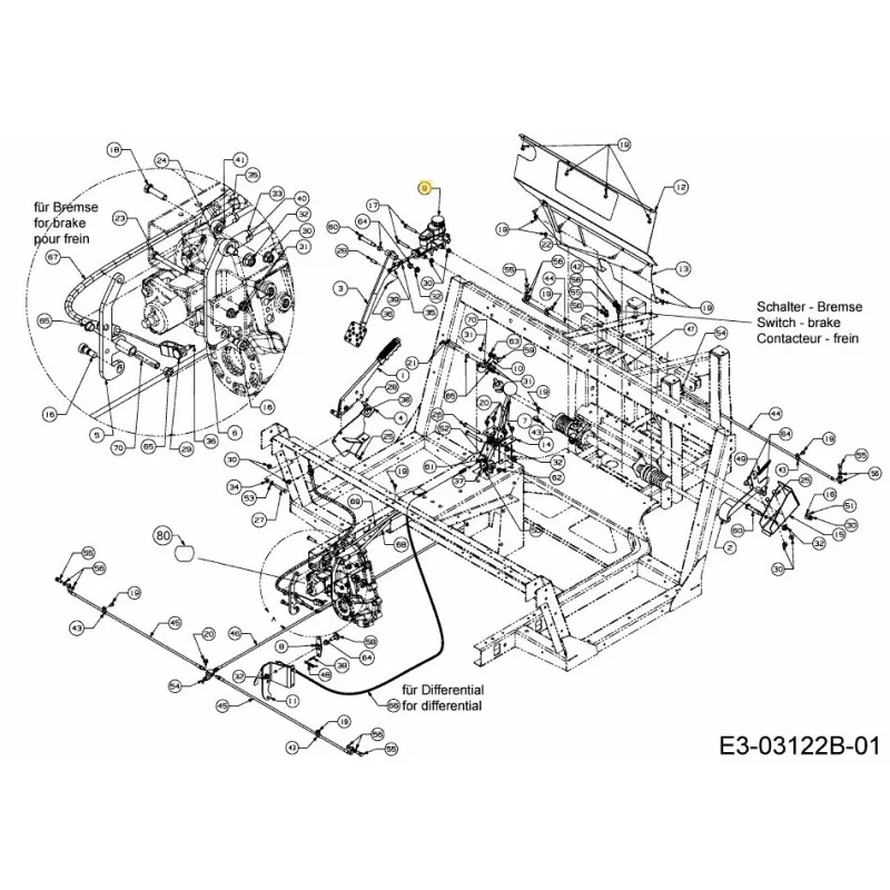 newgardenstore-22974628