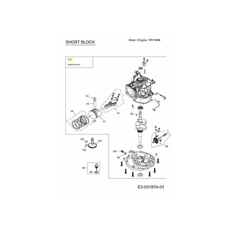 newgardenstore-22979537