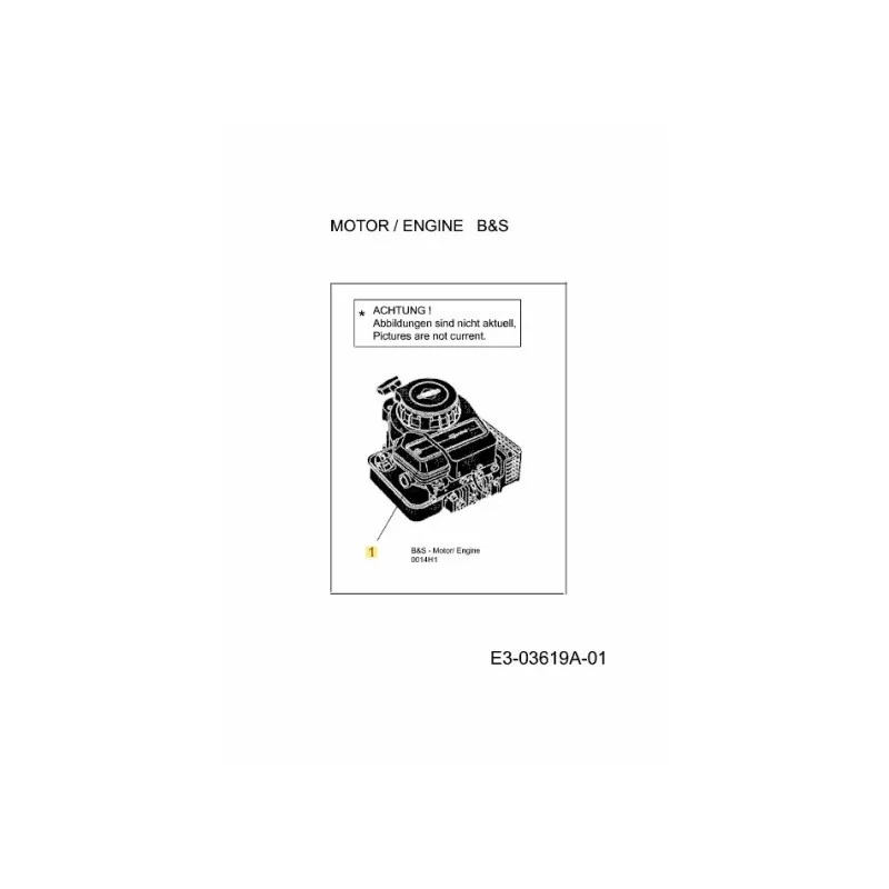 newgardenstore-22983226