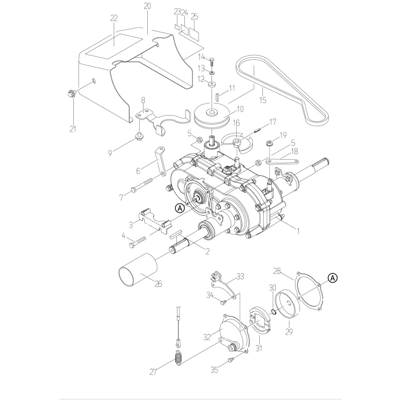 newgardenstore-23138218