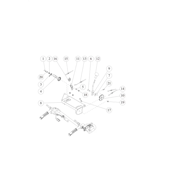 newgardenstore-23139751