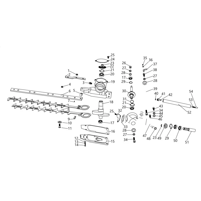 newgardenstore-23800457