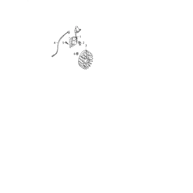 newgardenstore-23818806