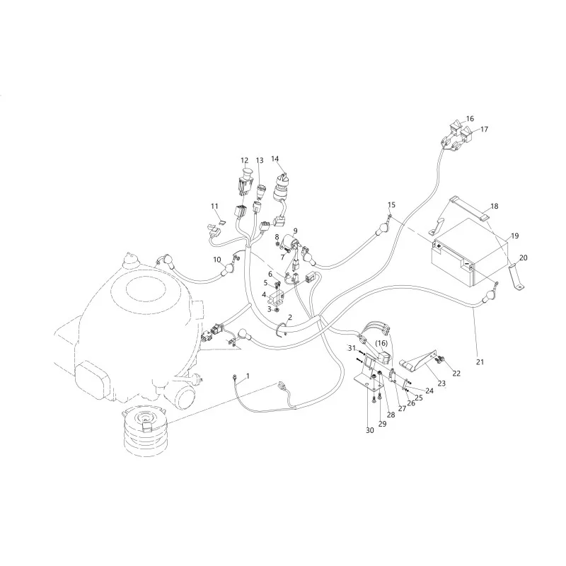 newgardenstore-23824420