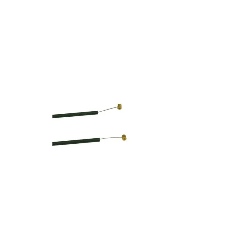 newgardenstore2841388