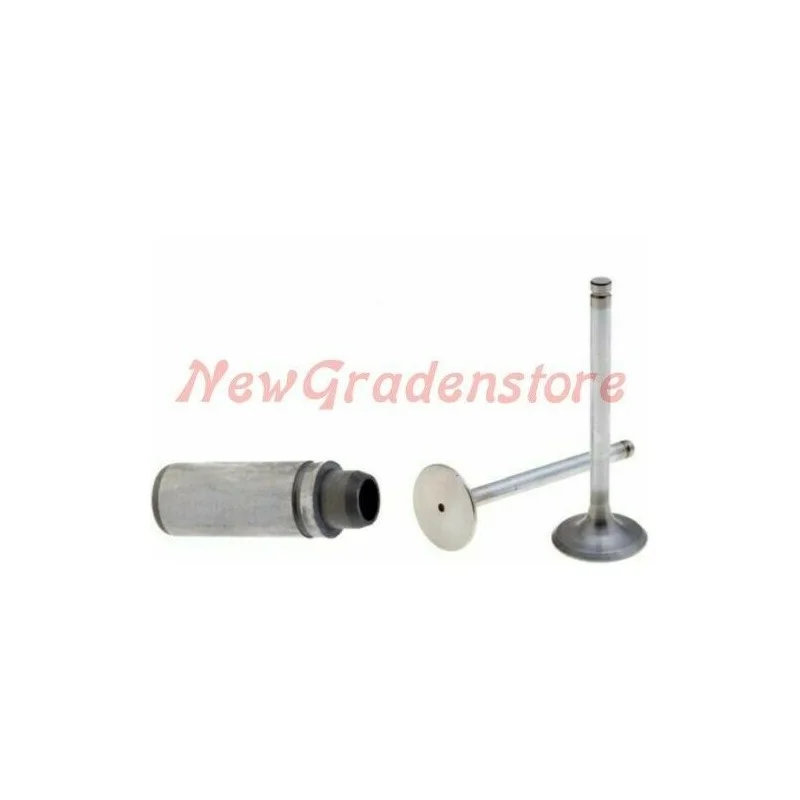 newgardenstore3100903