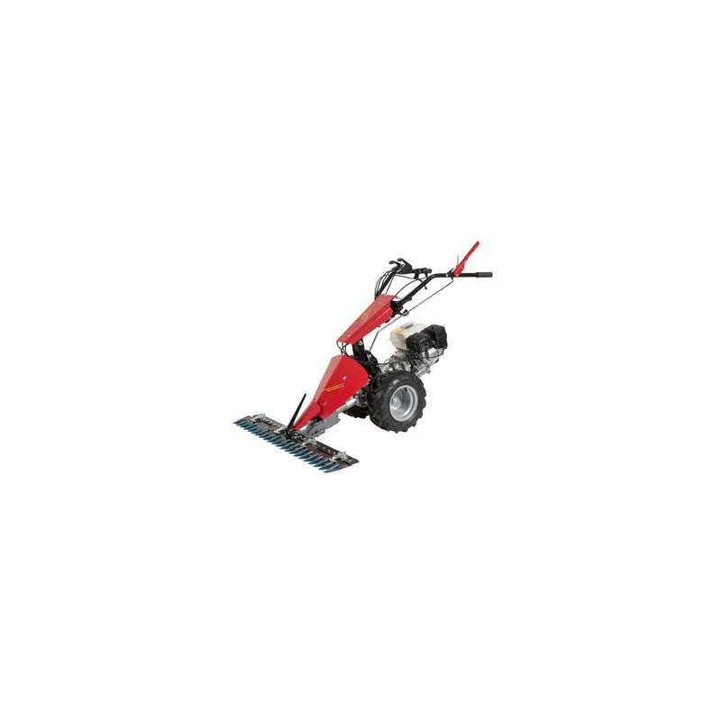 newgardenstore3523030