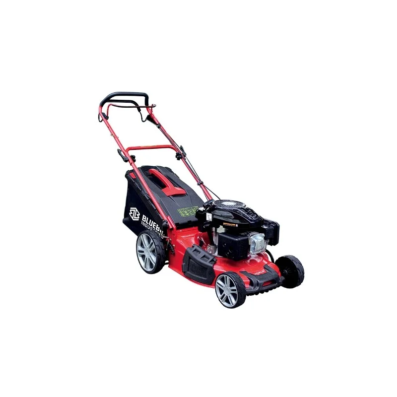 newgardenstore3642114