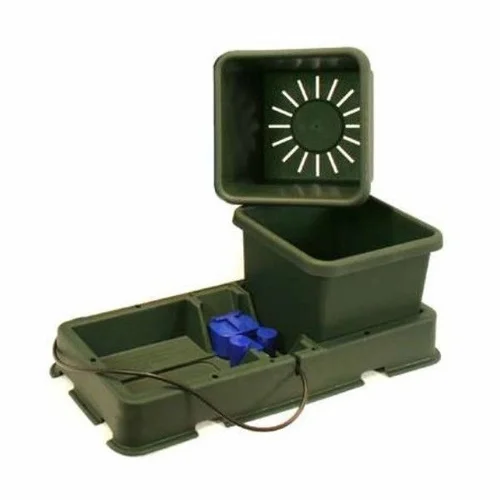 saltonverde2762819
