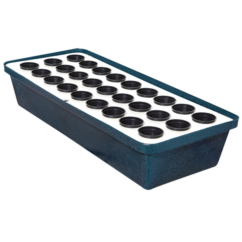 saltonverde2778073