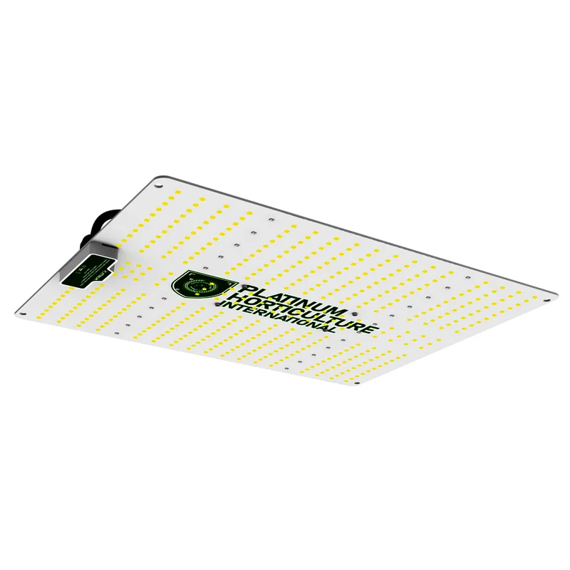 saltonverde2821785