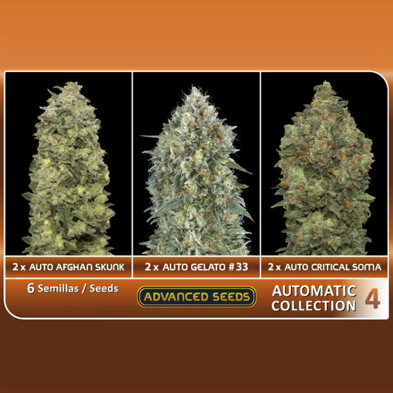 saltonverde2857200