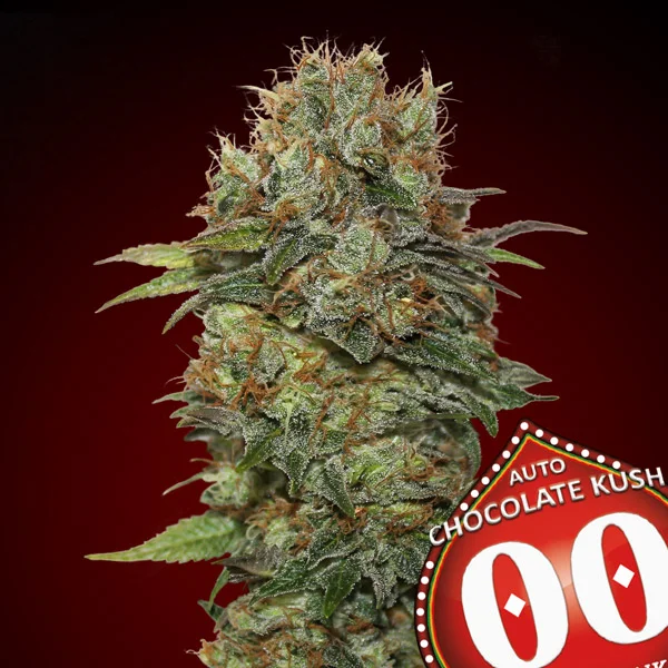 saltonverde2861256